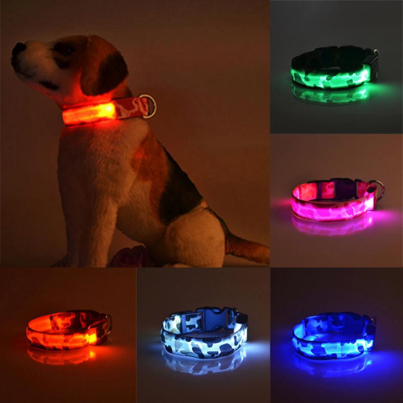 Glow Guard LED Dog Collar – USB Rechargeable Night Safety Collar