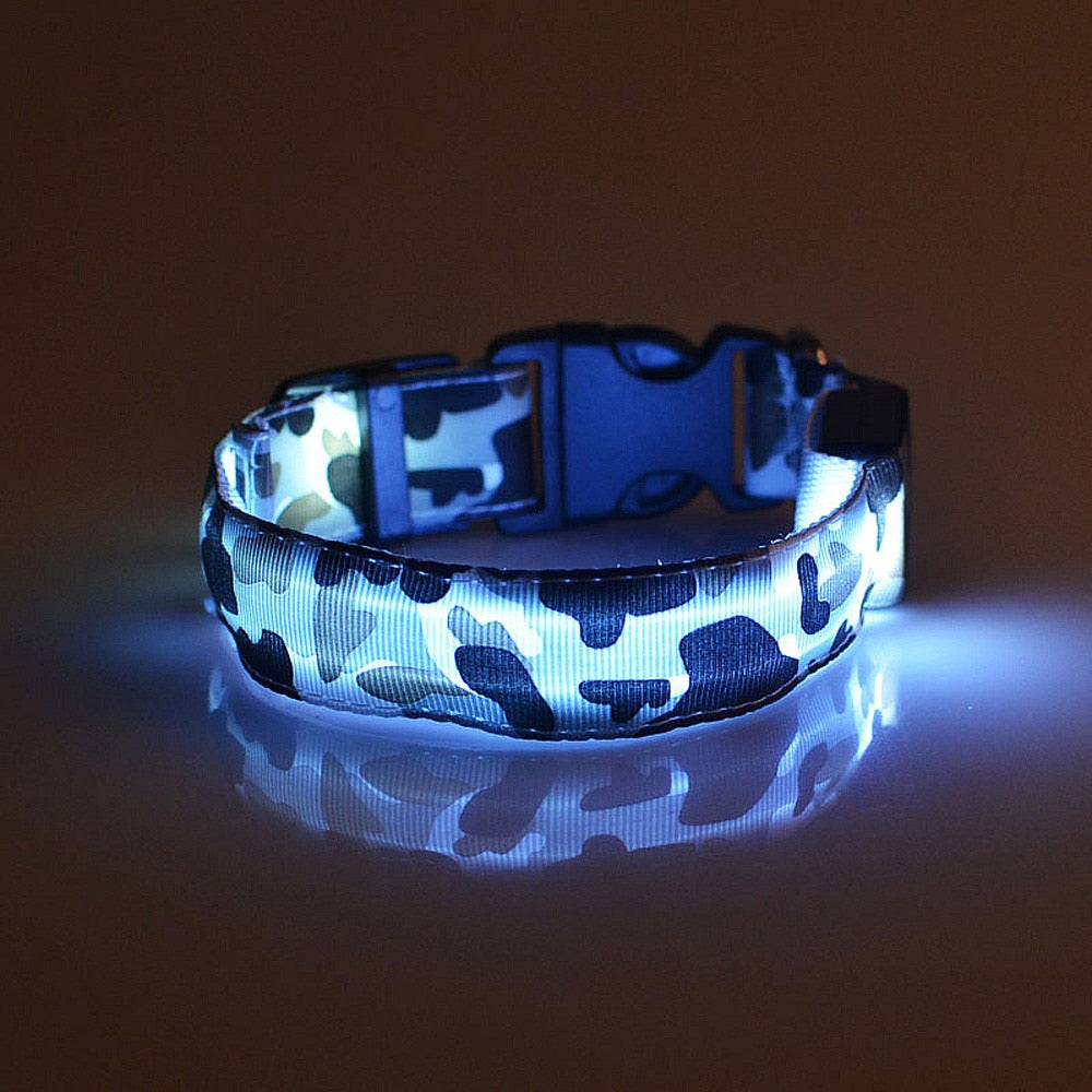 Glow Guard LED Dog Collar – USB Rechargeable Night Safety Collar