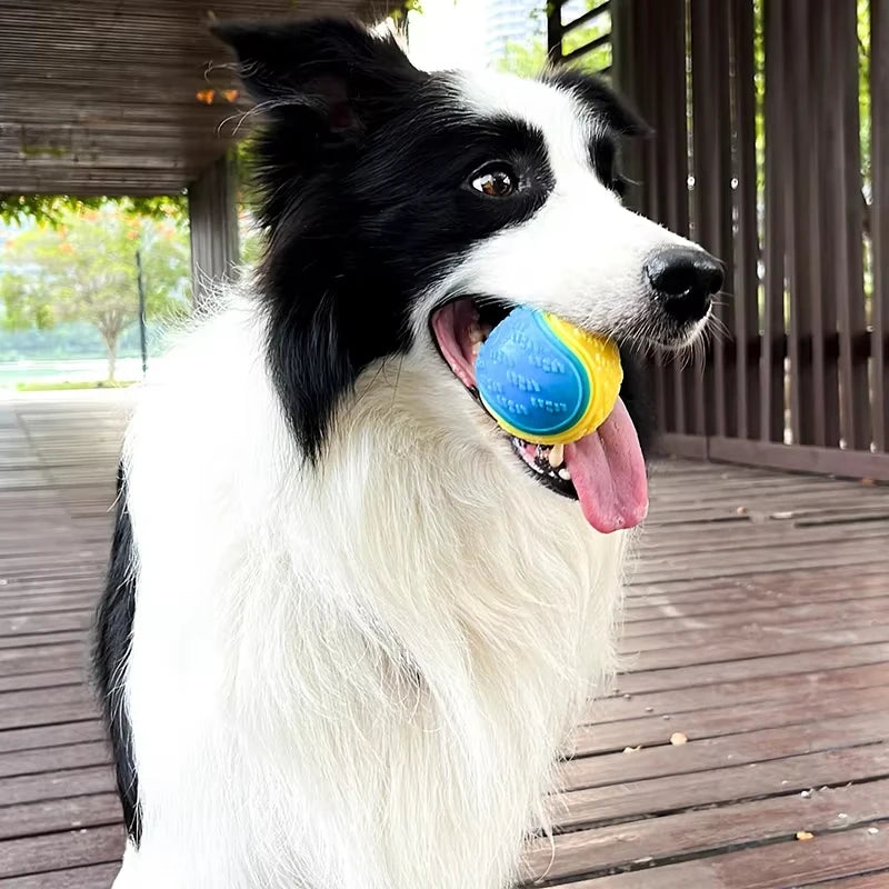 Durable Interactive Dog Chew Ball - Teeth Cleaning, Squeaky Toy and Bite-Resistant Fun Balls of Pets